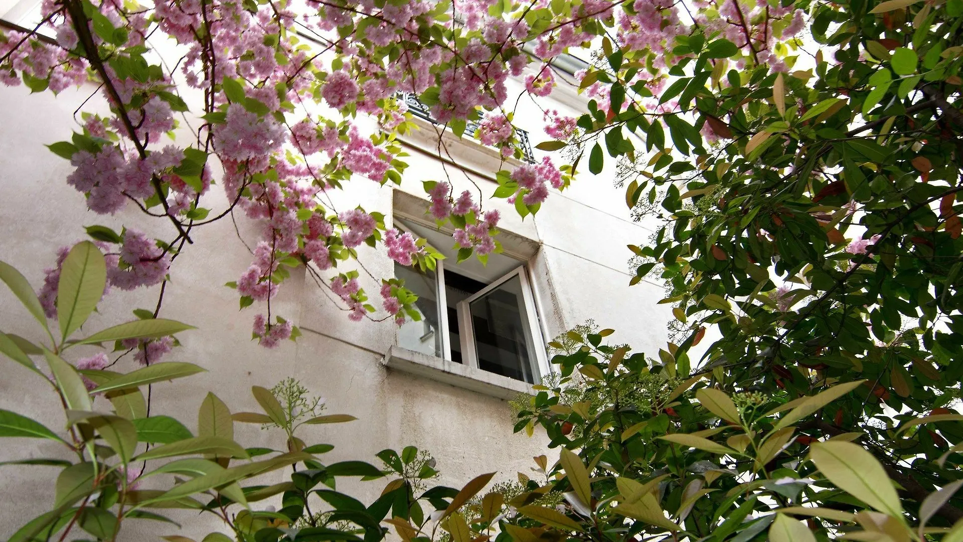 My Nest Inn Apartment - Mouffetard Paris